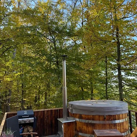 Karpatyglamp 山林小屋 *